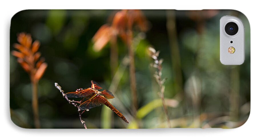 Dragonfly iPhone 7 Case featuring the photograph Garden Orange by Priya Ghose