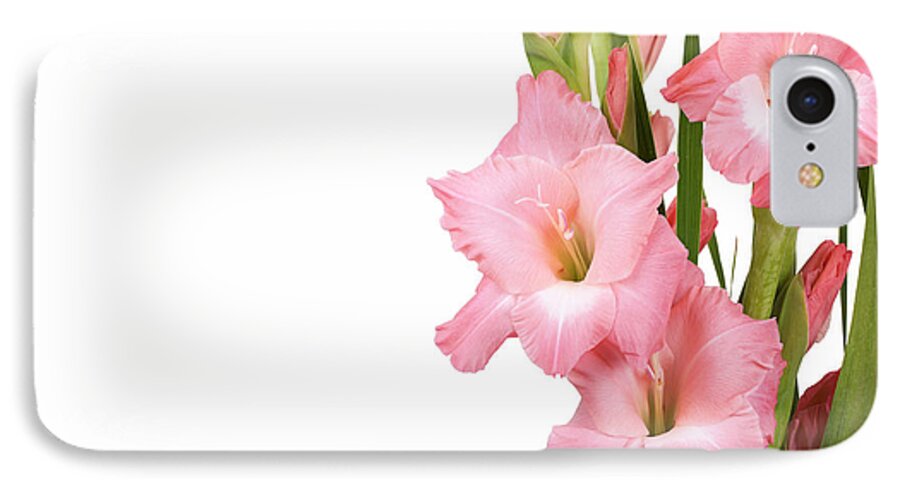 Arrangement iPhone 7 Case featuring the photograph Gladioli on white by Jane Rix