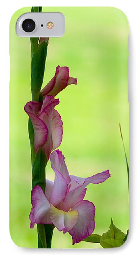 Blossom iPhone 7 Case featuring the photograph Gladiolus Blossoms by Ed Gleichman