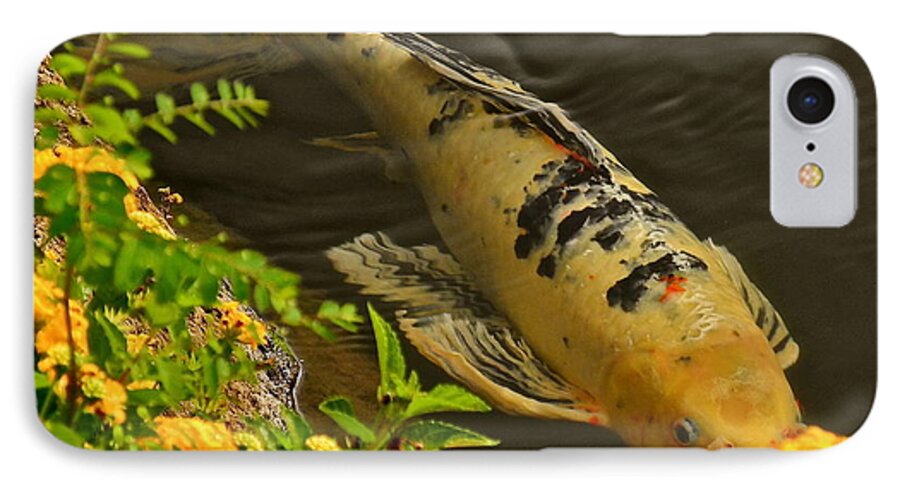 Koi Photographs iPhone 7 Case featuring the photograph Golden Koi by Kirsten Giving