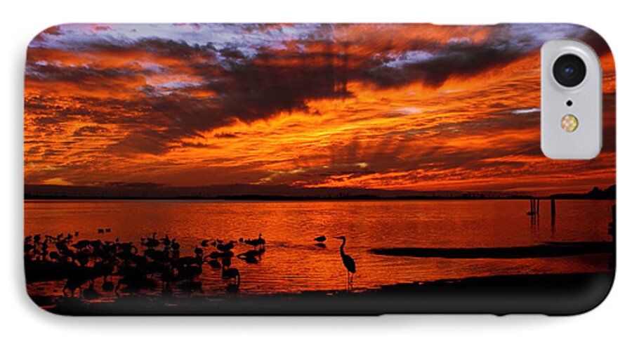 Liza iPhone 7 Case featuring the photograph Great Heron Sunset by Larry Beat