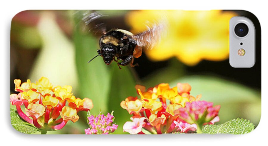 Bee Photograph iPhone 7 Case featuring the photograph Happy Bee by Luana K Perez
