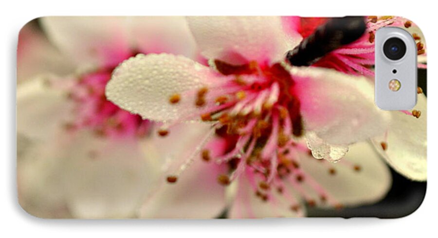 Flowers iPhone 7 Case featuring the photograph Hawthorn by Marty Koch