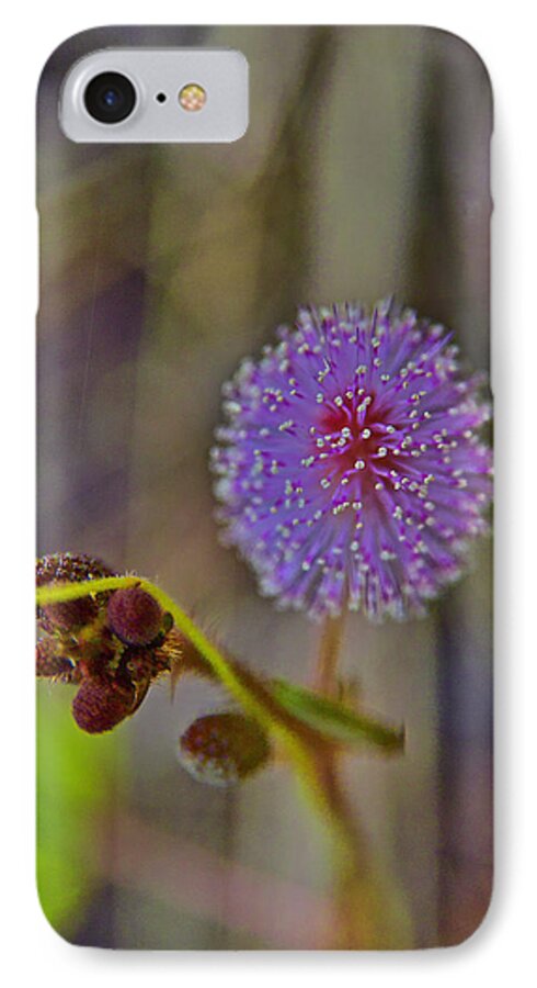 Plant iPhone 7 Case featuring the photograph Humble weed 1 by Jocelyn Kahawai