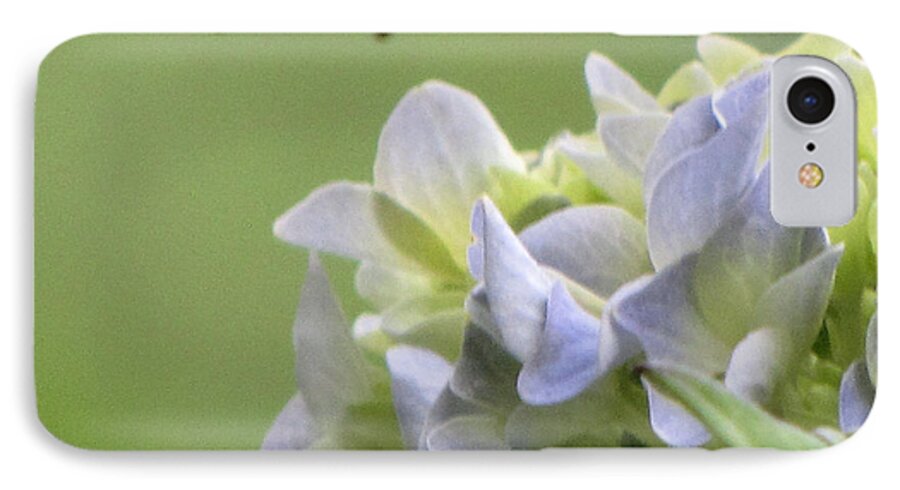 Hydrangea iPhone 7 Case featuring the photograph Hydrangea Blossom by KATIE Vigil