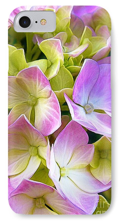 Hydrangea iPhone 7 Case featuring the photograph Hydrangeas by Judi Bagwell