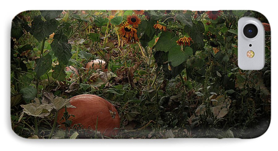 Pumpkins iPhone 7 Case featuring the photograph In the Shades of an Autumn Sky by John Poon