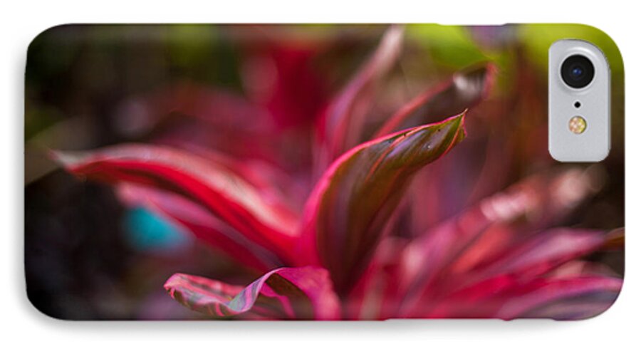 Bromeliad iPhone 7 Case featuring the photograph Island Bromeliad by Mike Reid