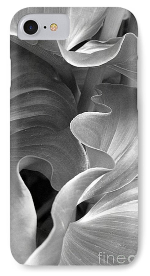 Lilies iPhone 7 Case featuring the photograph Contours by Morgan Wright