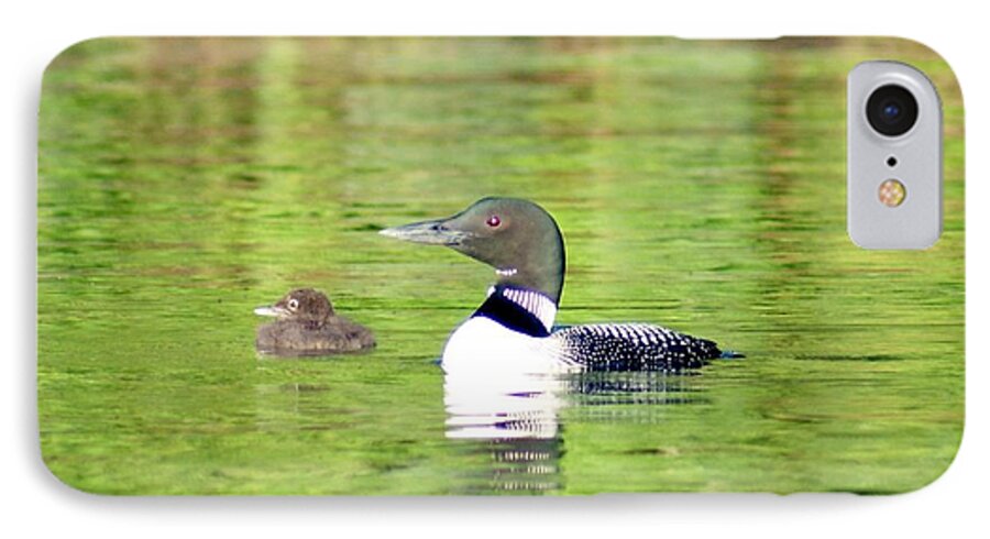 Wildlife iPhone 7 Case featuring the photograph Loons Big and Small by Steven Clipperton