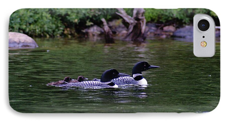 Loons iPhone 7 Case featuring the photograph Loons with Twins 2 by Steven Clipperton