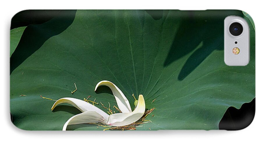 Nature iPhone 7 Case featuring the photograph Lotus Leaf--Castoff iii DL060 by Gerry Gantt