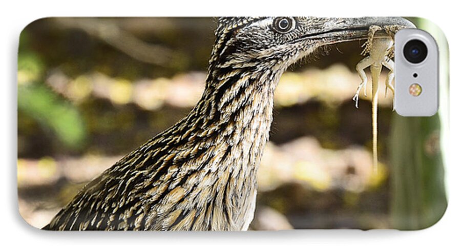 Greater Roadrunner iPhone 7 Case featuring the photograph Lunch Anyone by Saija Lehtonen