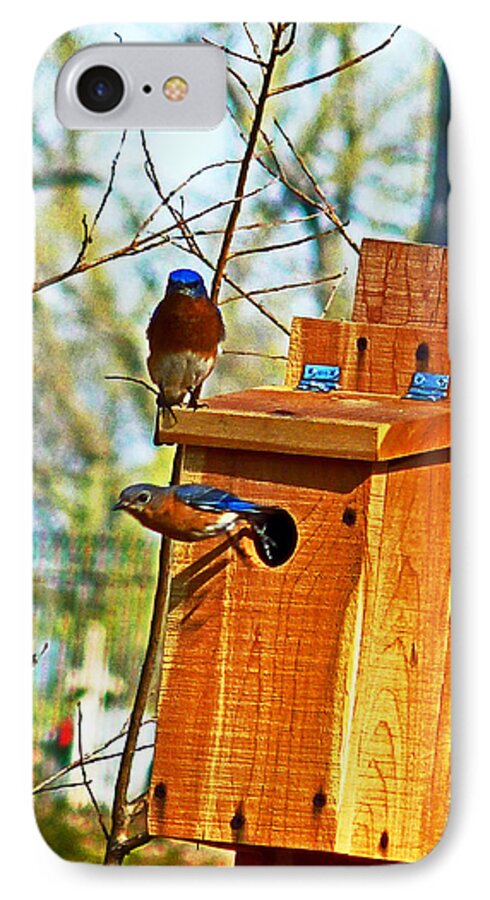 Bluebird iPhone 7 Case featuring the photograph Mama Leaving by William Fields