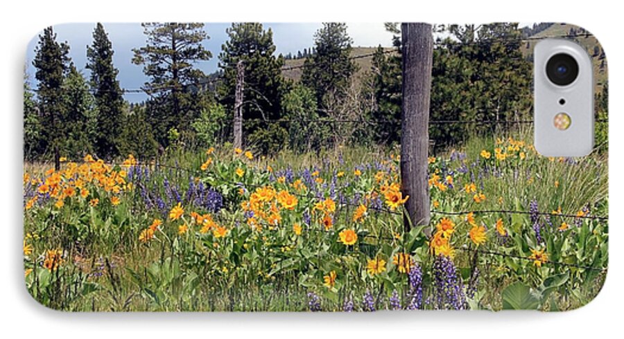 Wild Flowers iPhone 7 Case featuring the photograph Montana Wildflowers by Athena Mckinzie