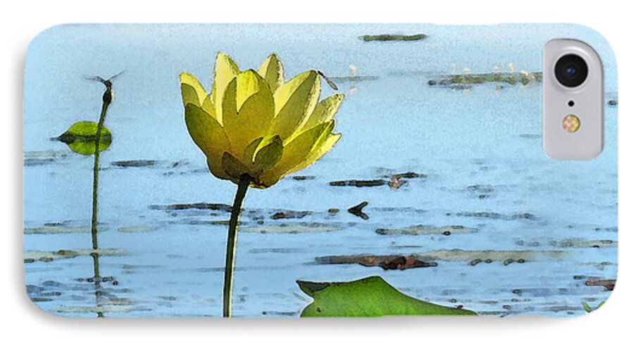 Lotus iPhone 7 Case featuring the photograph Morning Lotus Pond by Deborah Smith