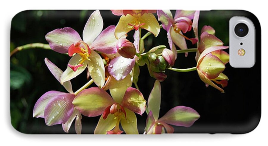 Orchid iPhone 7 Case featuring the photograph Orchid Macro by Angela Murray