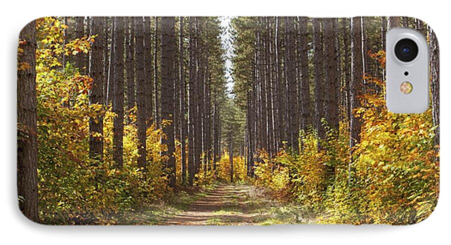 Woods iPhone 7 Case featuring the photograph Path Into The Forest In Autumn Sault by Susan Dykstra