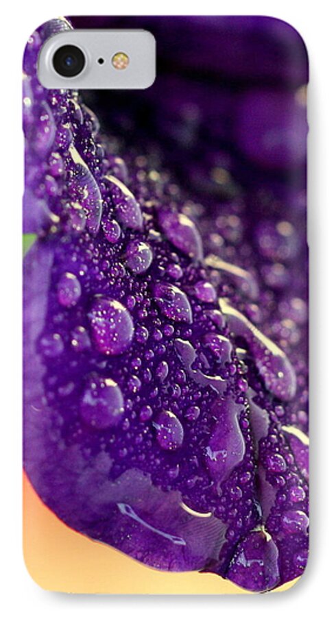 Purple Petunia iPhone 7 Case featuring the photograph Petunia Raindrops by Suzanne Stout
