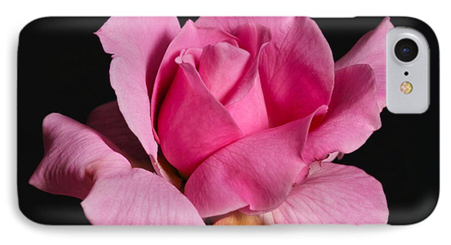 Rose iPhone 7 Case featuring the photograph Pink Tea Rose by Gary Dean Mercer Clark