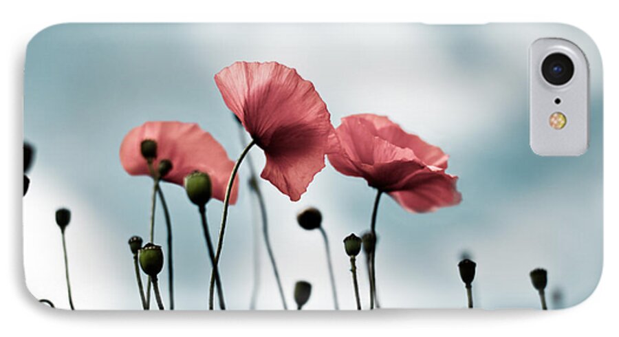 Poppy iPhone 7 Case featuring the photograph Poppy Flowers 07 by Nailia Schwarz