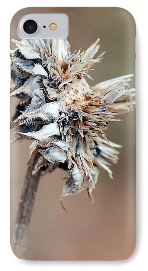 Weed iPhone 7 Case featuring the photograph 1 by Anjanette Douglas