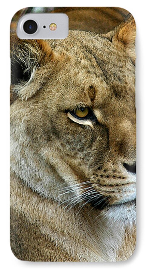 Lioness iPhone 7 Case featuring the digital art Proud Lioness by Cindy Haggerty
