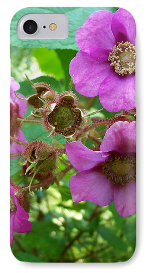 Nature iPhone 7 Case featuring the photograph Purple-Flowering Rasberry by David Pickett
