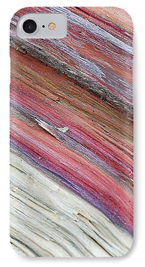 Nature iPhone 7 Case featuring the photograph Rainbow Wood by Lisa Phillips