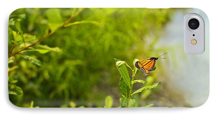 Viceroy Butterfly iPhone 7 Case featuring the photograph Ready set go Viceroy Butterfly by Marianne Campolongo