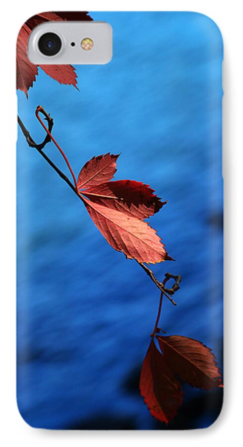 Red iPhone 7 Case featuring the photograph Red maple leaves by Paul Ge