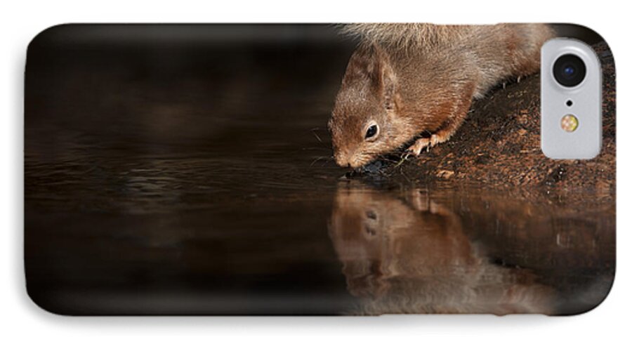 Red Squirrel iPhone 7 Case featuring the photograph Red Squirrel Reflection by Andy Astbury