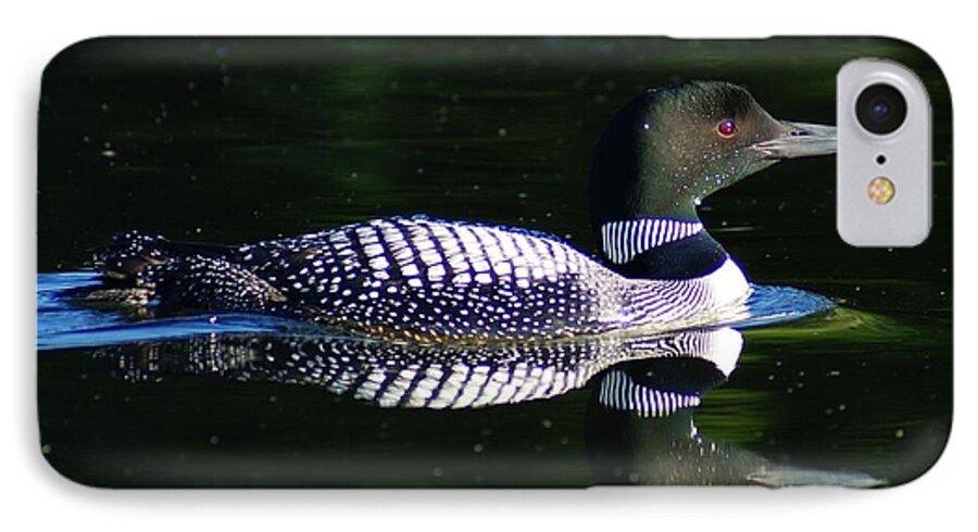 Loon iPhone 7 Case featuring the photograph Reflections by Steven Clipperton