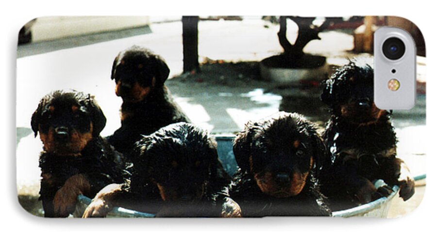 Rottweilers iPhone 7 Case featuring the photograph Rub-a-dub-dub by Lee McCormick