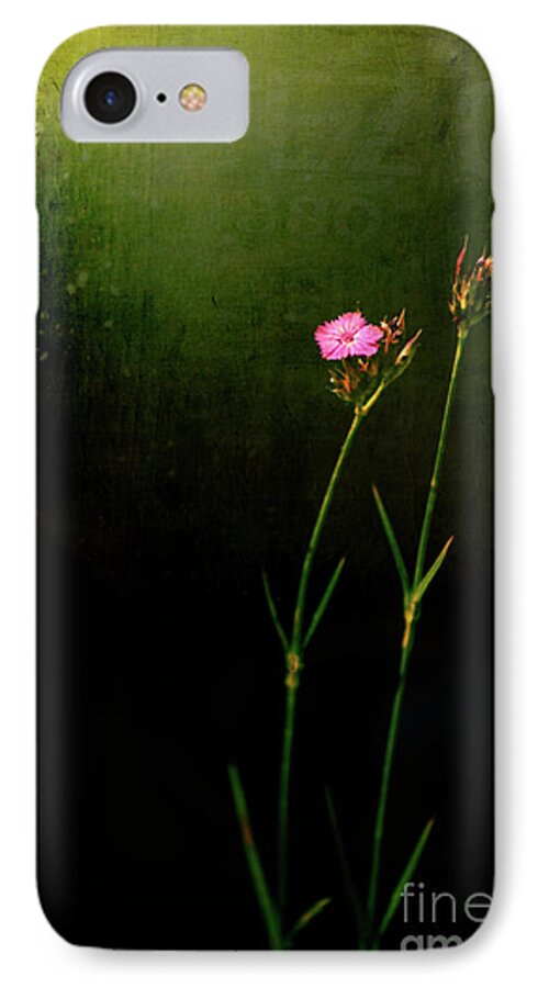 Flower iPhone 7 Case featuring the photograph Seeking light by Silvia Ganora