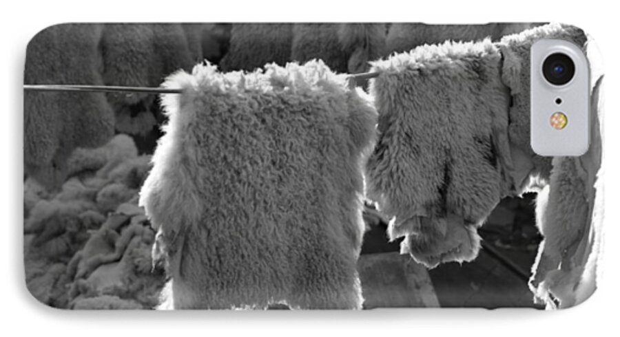 Animal iPhone 7 Case featuring the photograph Sheepskin by Emanuel Tanjala
