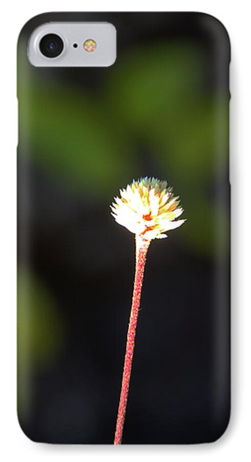 Floral iPhone 7 Case featuring the photograph Simplicity by Kerri Ligatich