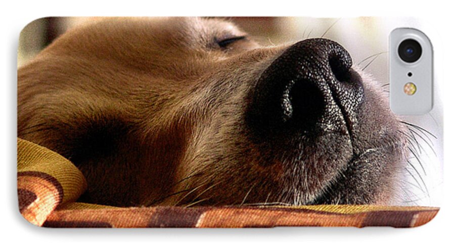 Dog iPhone 7 Case featuring the photograph Sleeping beauty by Alessandro Della Pietra