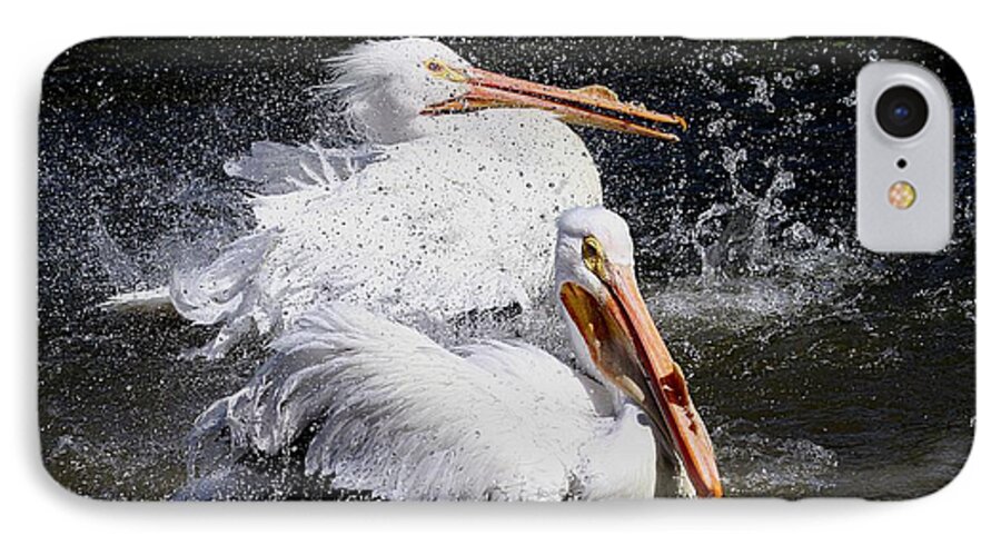 Pelicans iPhone 7 Case featuring the photograph Splish Splash by Elizabeth Winter