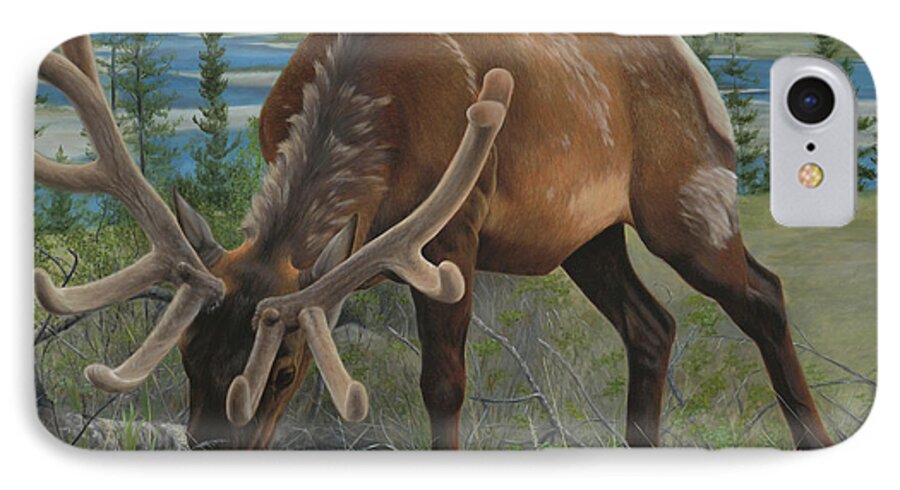 Elk iPhone 7 Case featuring the painting Spring Gazing by Tammy Taylor