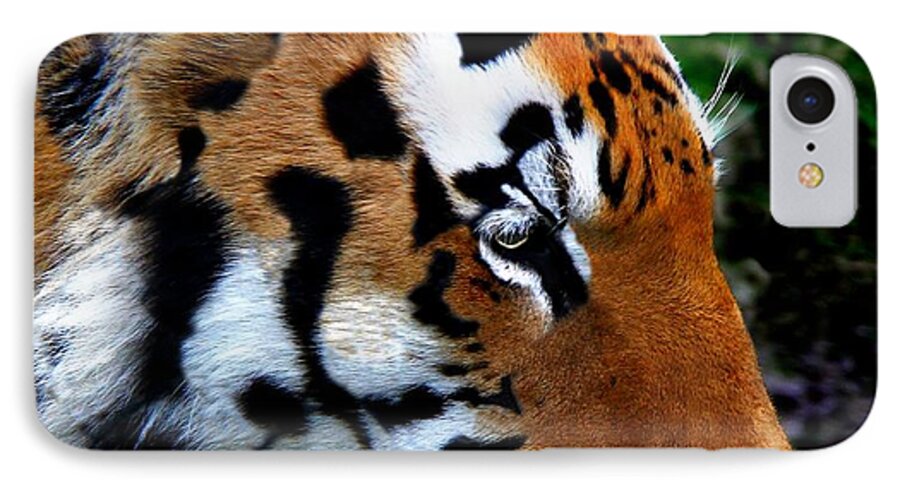Tiger iPhone 7 Case featuring the photograph Sumatran Strength by Davandra Cribbie