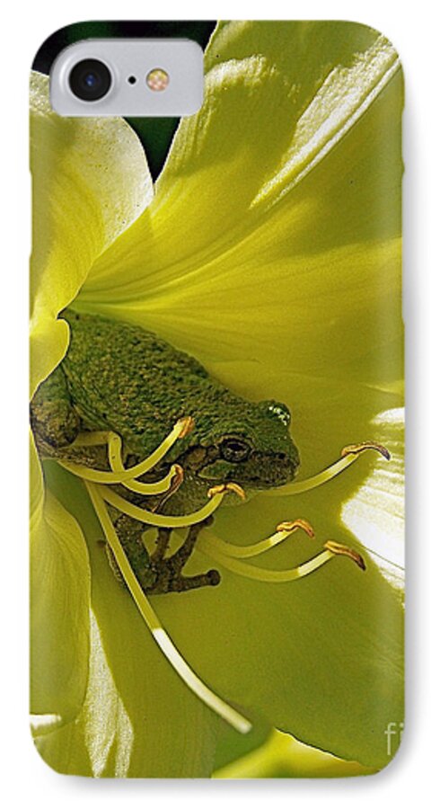 Color Photography iPhone 7 Case featuring the photograph The Day Lily Met Her Prince by Sue Stefanowicz