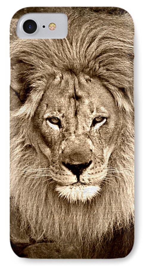 Lion iPhone 7 Case featuring the photograph The Eyes by Elizabeth Budd