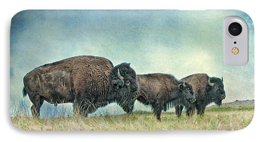 Bison iPhone 7 Case featuring the photograph Three in a Row by Tamyra Ayles