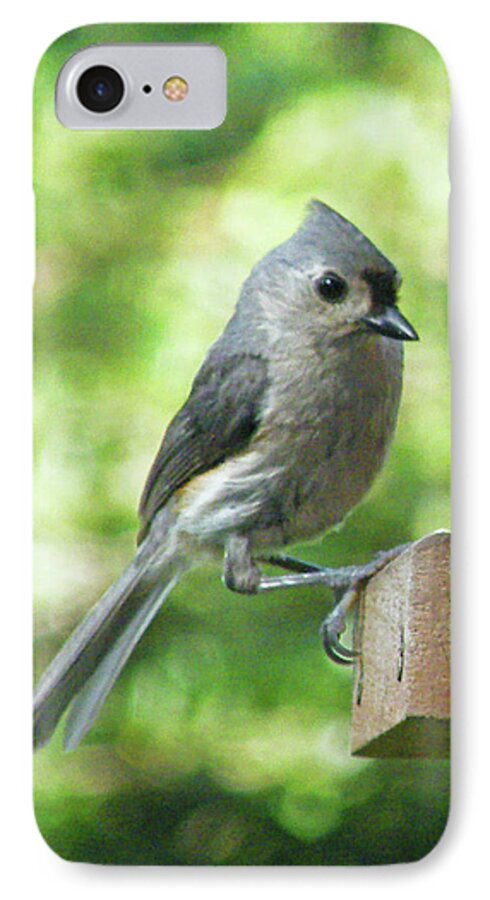 Titmouse iPhone 7 Case featuring the photograph Tufted Titmouse by Lizi Beard-Ward