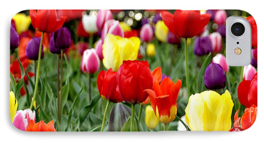 Tulip Garden iPhone 7 Case featuring the photograph Tulip Garden University of Pittsburgh by Thomas R Fletcher