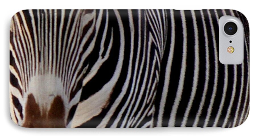Zebra iPhone 7 Case featuring the photograph Up Close and Personal by Leigh Meredith