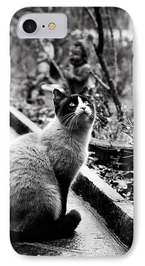 Cat iPhone 7 Case featuring the photograph Waiting by Laura Melis