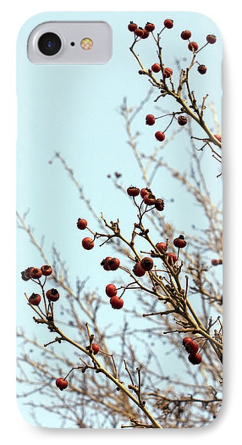 Blue iPhone 7 Case featuring the photograph Winter's end by Cindy Garber Iverson
