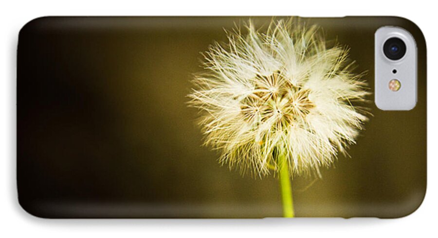 Dandelion iPhone 7 Case featuring the photograph Wishes by Sara Frank